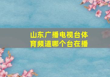 山东广播电视台体育频道哪个台在播