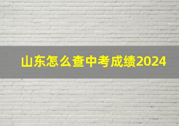 山东怎么查中考成绩2024