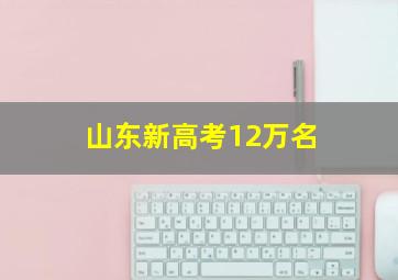 山东新高考12万名