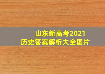 山东新高考2021历史答案解析大全图片