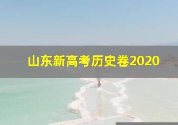 山东新高考历史卷2020