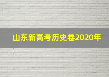 山东新高考历史卷2020年