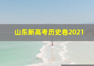 山东新高考历史卷2021