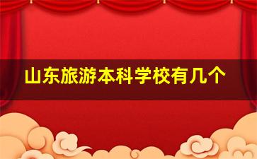 山东旅游本科学校有几个