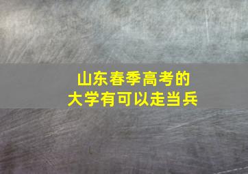 山东春季高考的大学有可以走当兵