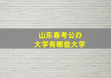 山东春考公办大学有哪些大学