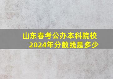 山东春考公办本科院校2024年分数线是多少