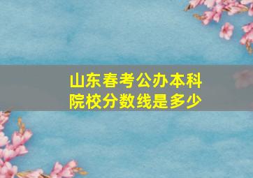 山东春考公办本科院校分数线是多少