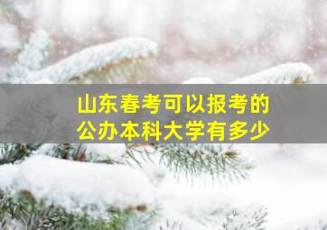 山东春考可以报考的公办本科大学有多少