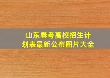 山东春考高校招生计划表最新公布图片大全