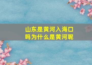 山东是黄河入海口吗为什么是黄河呢