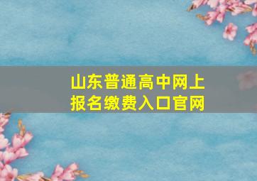 山东普通高中网上报名缴费入口官网