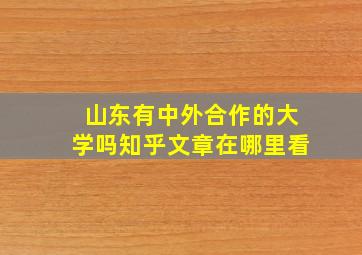 山东有中外合作的大学吗知乎文章在哪里看