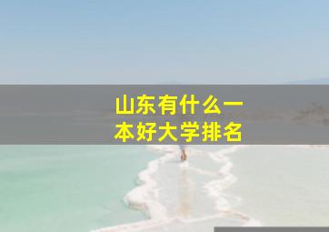 山东有什么一本好大学排名