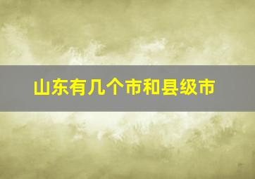 山东有几个市和县级市