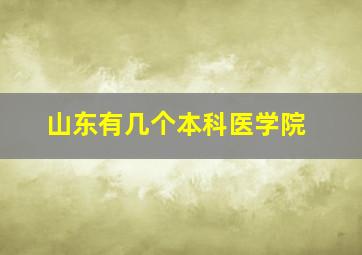 山东有几个本科医学院