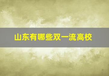 山东有哪些双一流高校