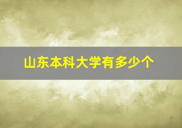 山东本科大学有多少个