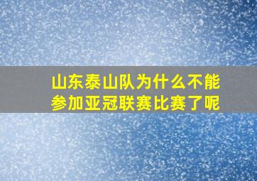 山东泰山队为什么不能参加亚冠联赛比赛了呢