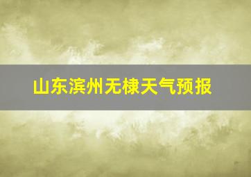 山东滨州无棣天气预报