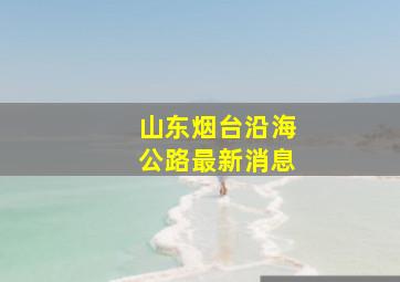 山东烟台沿海公路最新消息