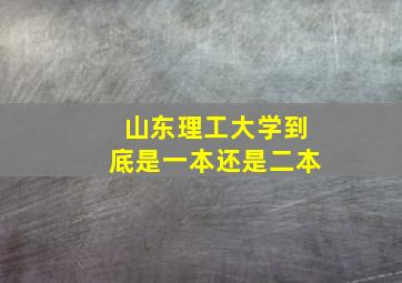 山东理工大学到底是一本还是二本