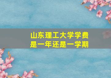 山东理工大学学费是一年还是一学期