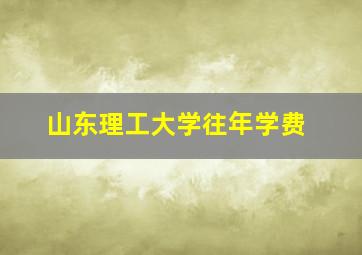 山东理工大学往年学费