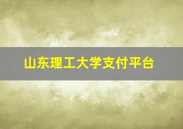 山东理工大学支付平台