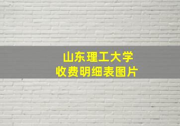 山东理工大学收费明细表图片