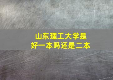 山东理工大学是好一本吗还是二本