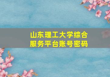 山东理工大学综合服务平台账号密码