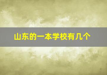 山东的一本学校有几个