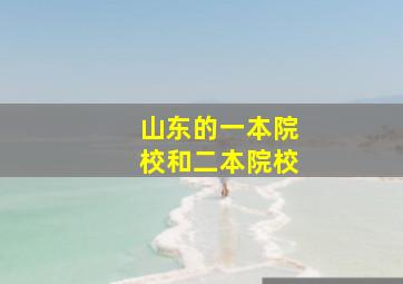 山东的一本院校和二本院校