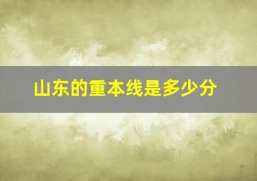 山东的重本线是多少分