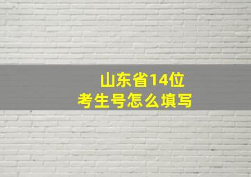 山东省14位考生号怎么填写