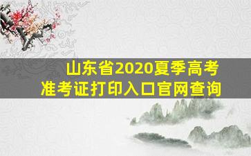 山东省2020夏季高考准考证打印入口官网查询