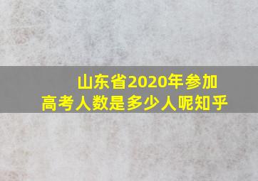 山东省2020年参加高考人数是多少人呢知乎