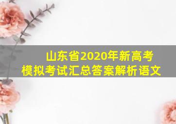 山东省2020年新高考模拟考试汇总答案解析语文