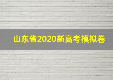 山东省2020新高考模拟卷