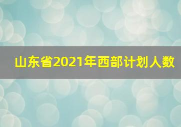 山东省2021年西部计划人数