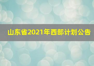 山东省2021年西部计划公告