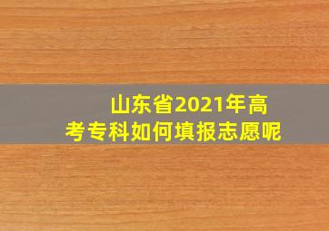 山东省2021年高考专科如何填报志愿呢