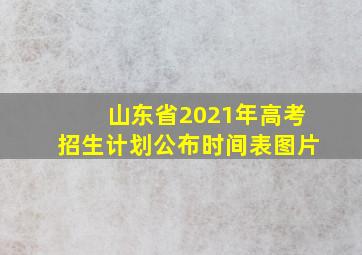 山东省2021年高考招生计划公布时间表图片