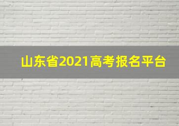 山东省2021高考报名平台