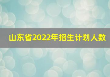 山东省2022年招生计划人数