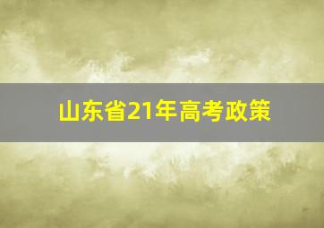 山东省21年高考政策