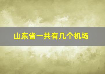 山东省一共有几个机场