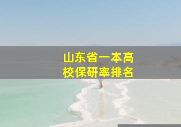 山东省一本高校保研率排名