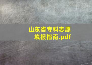 山东省专科志愿填报指南.pdf